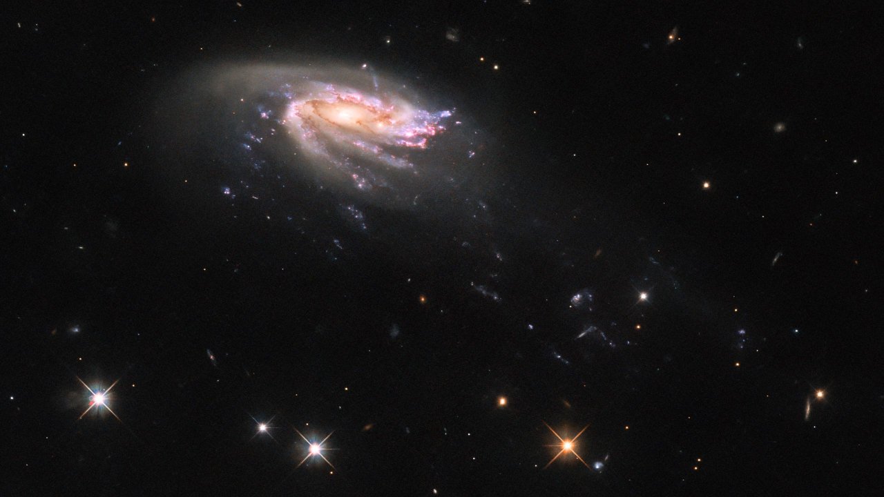 Haftanın Hubble Görüntüsü, Alışılmadık Bir Denizanası Galaksisini Gösteriyor